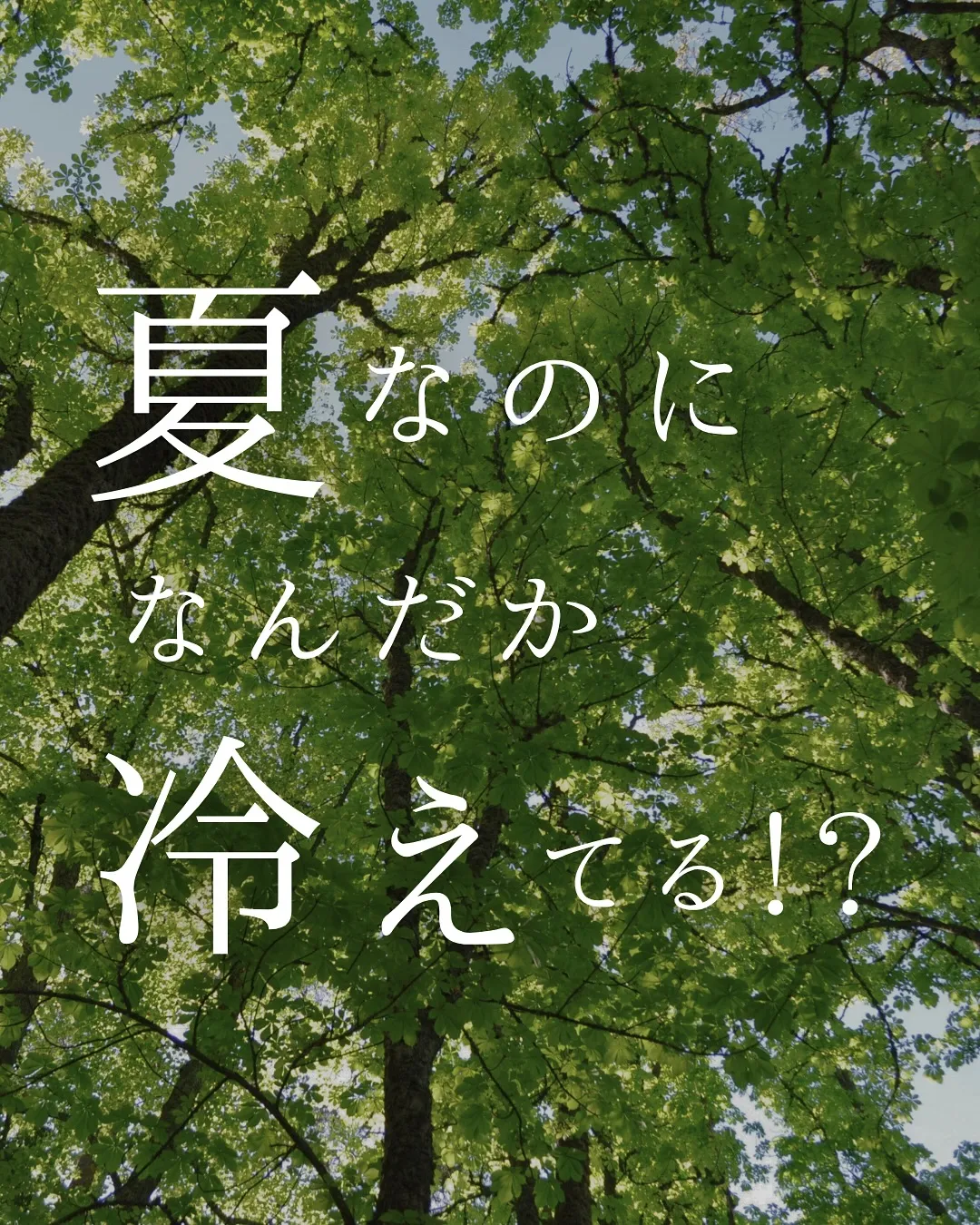暑いのに、なんだか冷えてる。