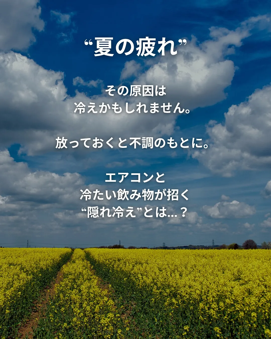 暑いのに、なんだか冷えてる。