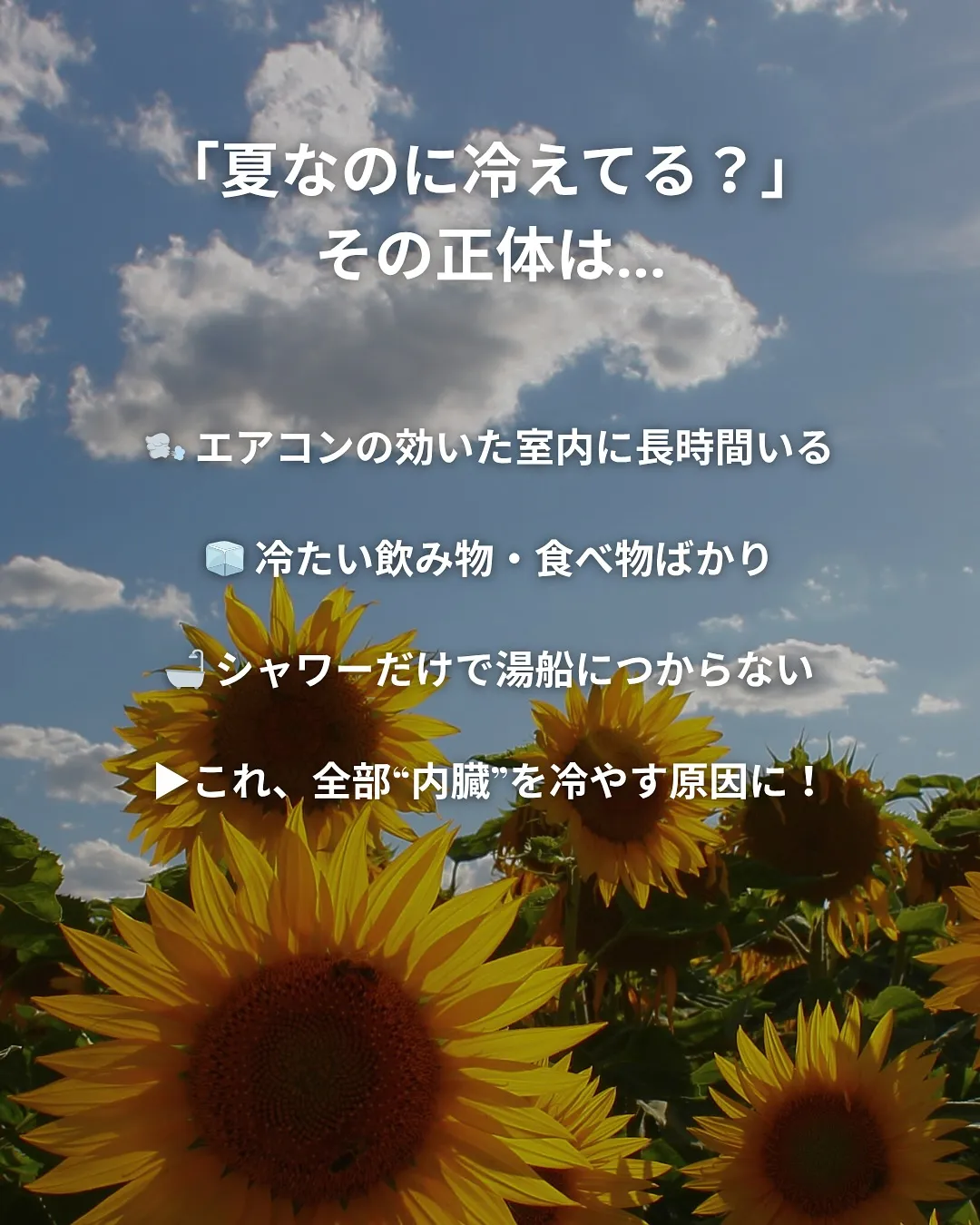 暑いのに、なんだか冷えてる。