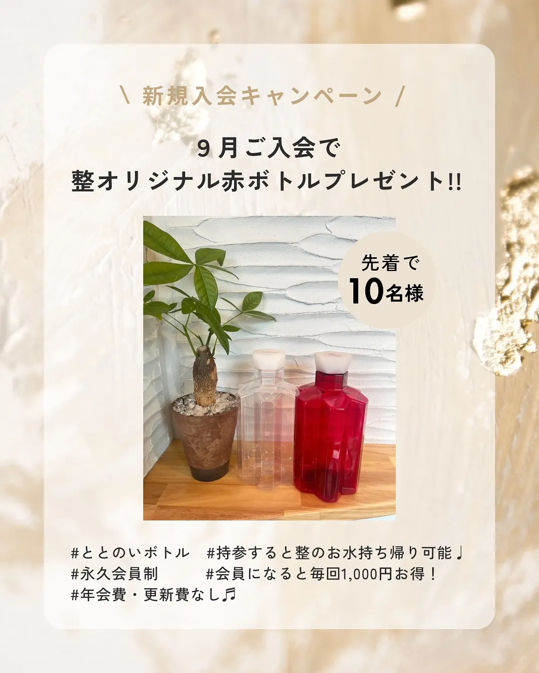 🍂9月のお知らせ｜蒸氣浴 整 totonoi