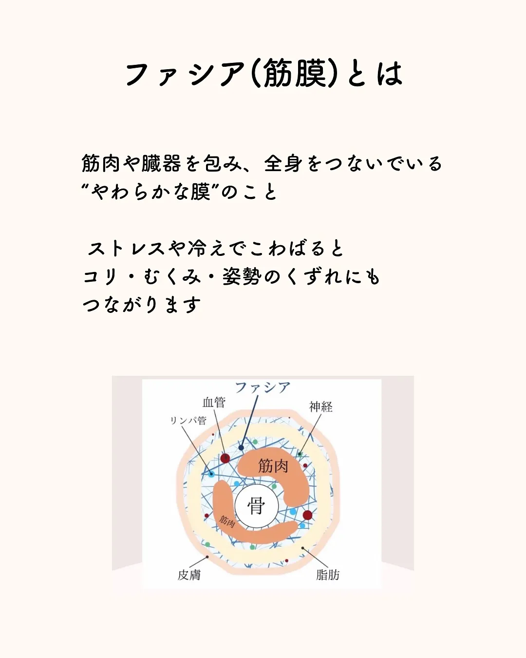 ✨新メニュー登場✨蒸氣浴 × ファシア美整体