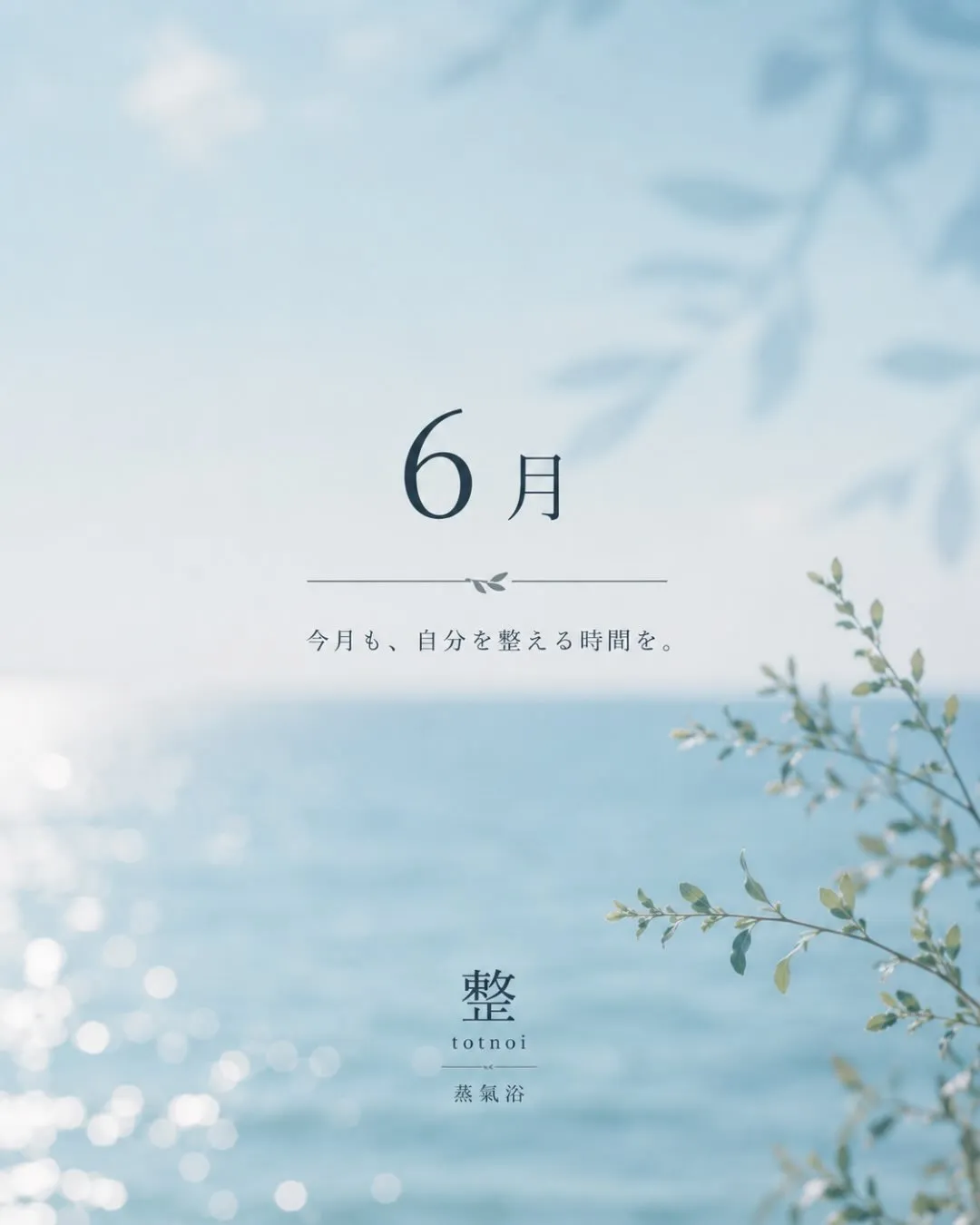 6月の営業日のお知らせです🌿